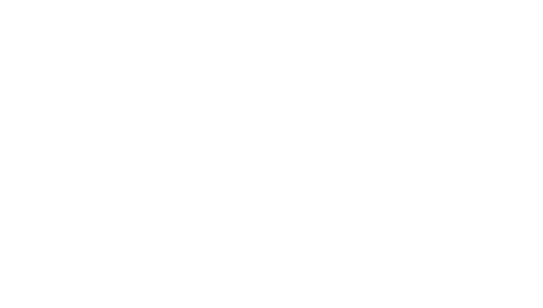 Riccio Productions Logo